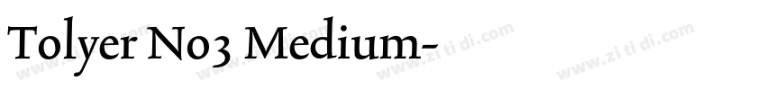 Tolyer No3 Medium字体转换